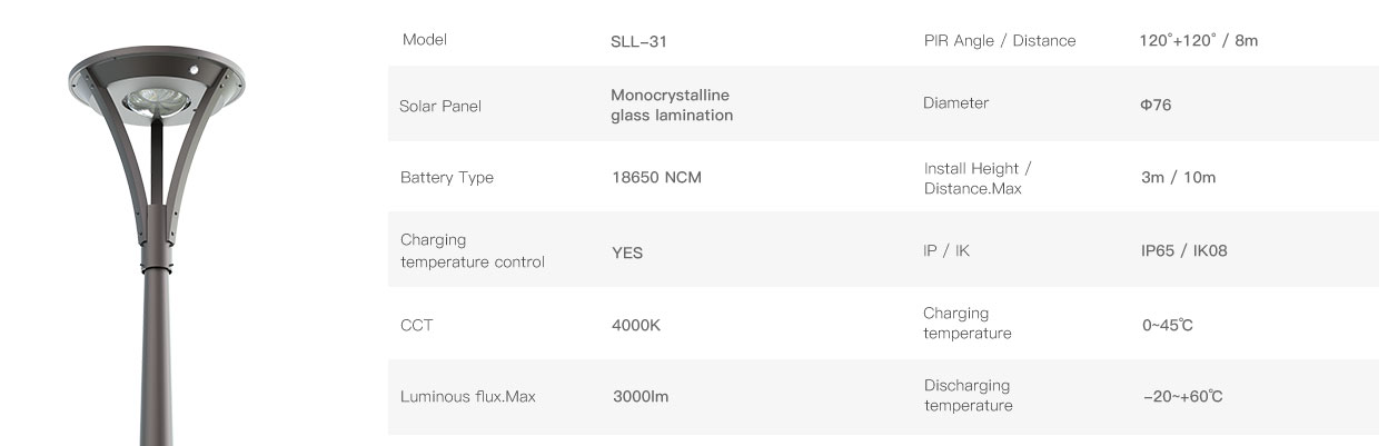 SLL 31 整体 17